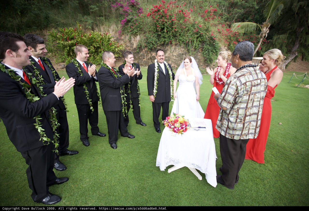 A Beautiful Wedding in the Grass