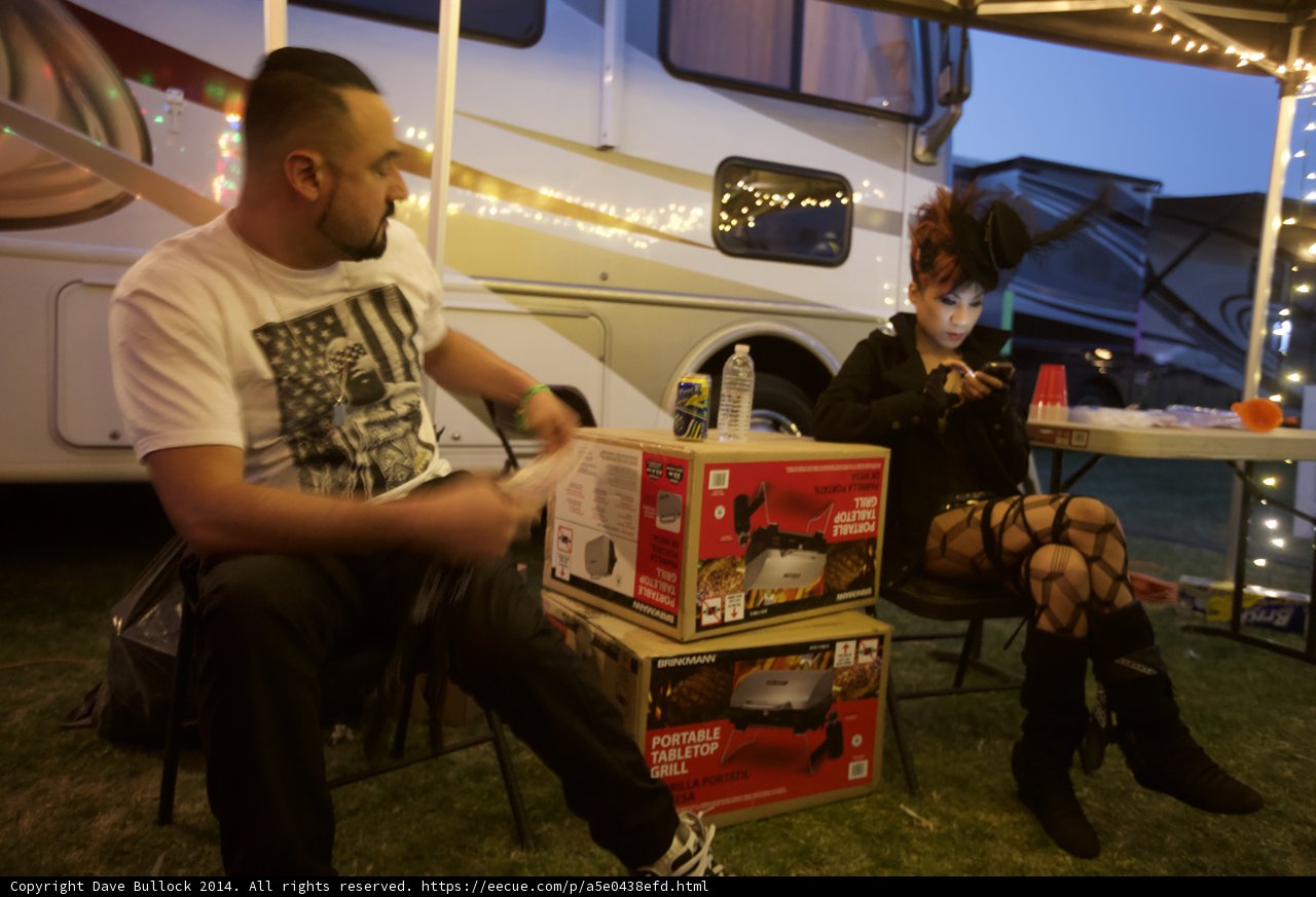 Under the Coachella Sky