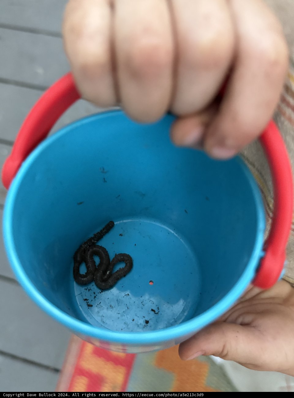 Tiny Discoveries