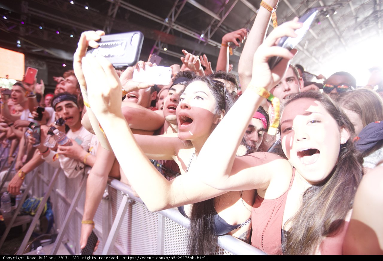 The Ultimate Concert Crowd