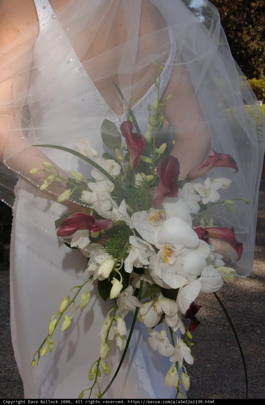 Wedding Bouquet Beauty