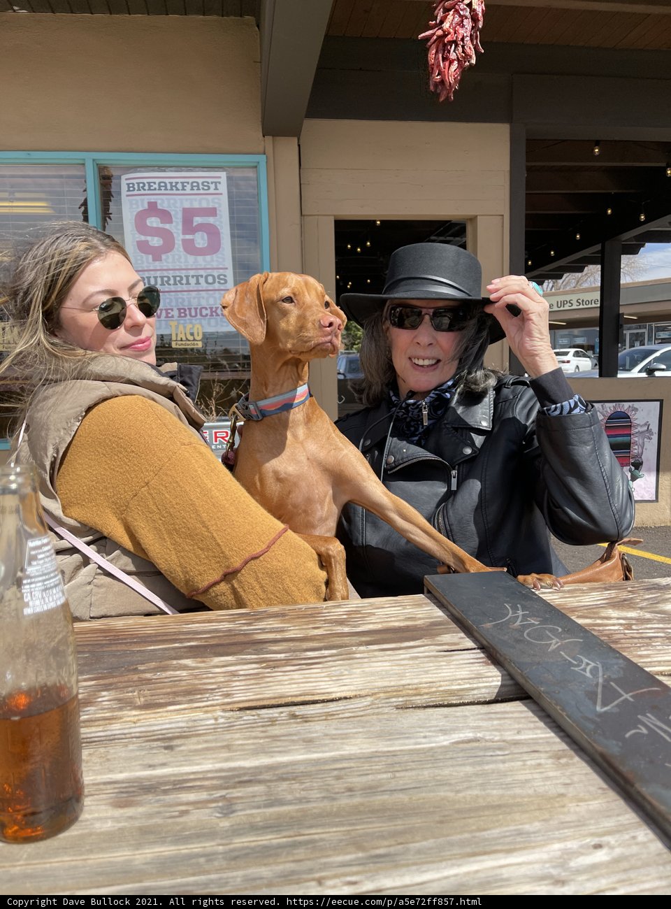 Table Talk with a Furry Companion