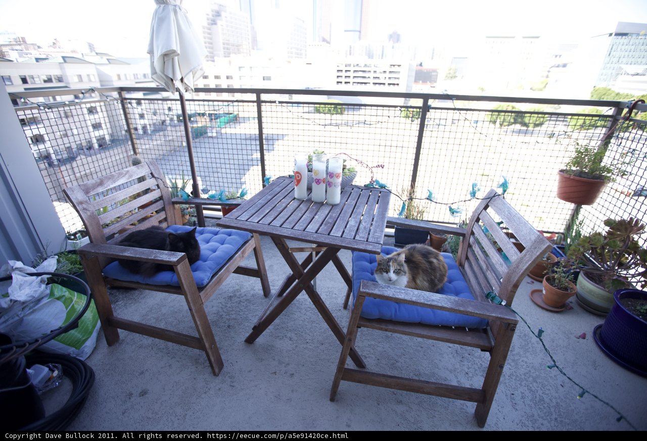 Relaxing on the Balcony