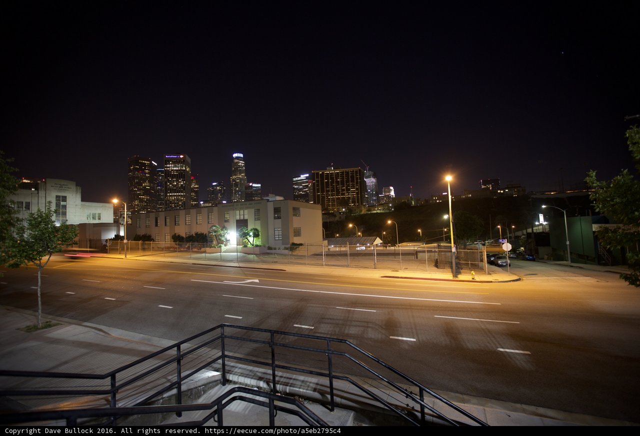 Nighttime Views of the Urban Jungle