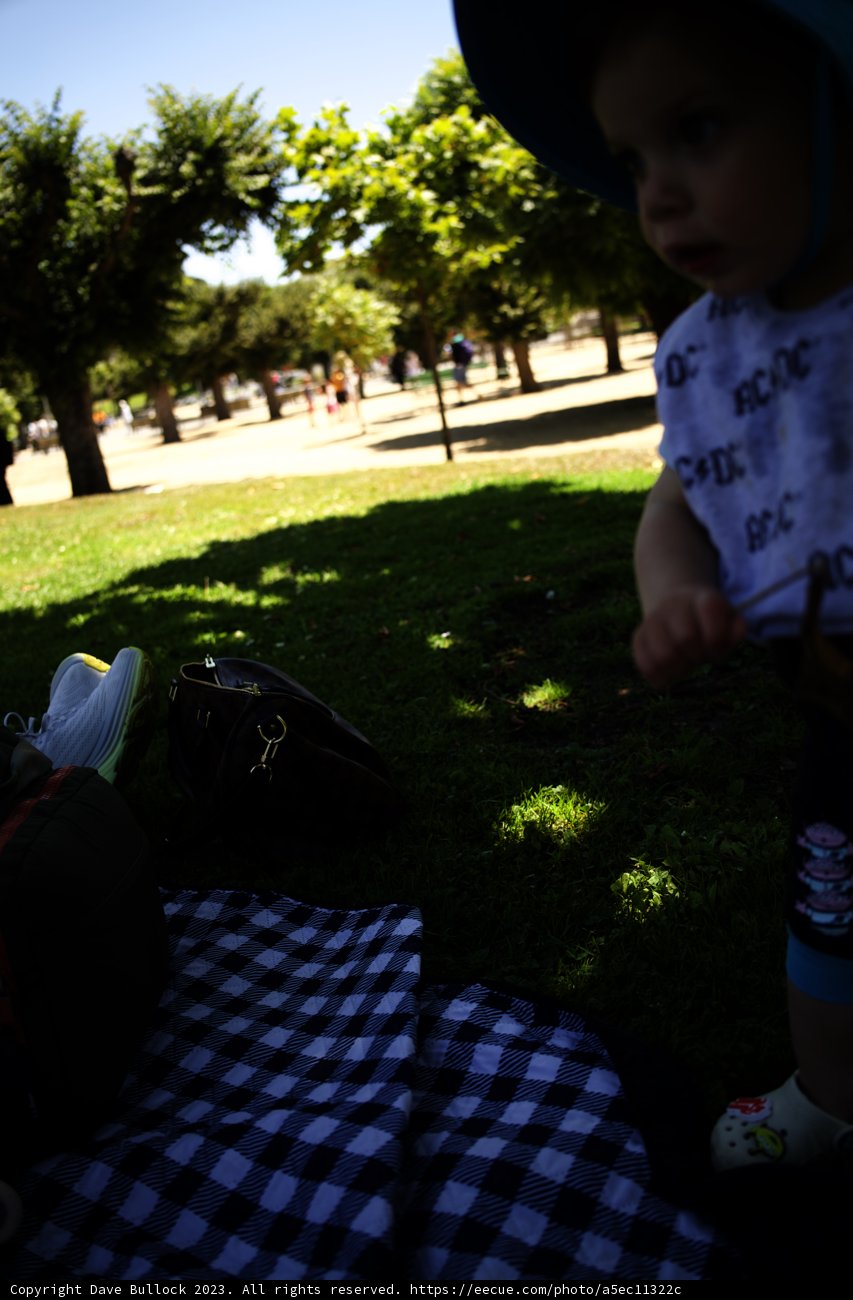 Tiny Tot's Summer Picnic at the Park