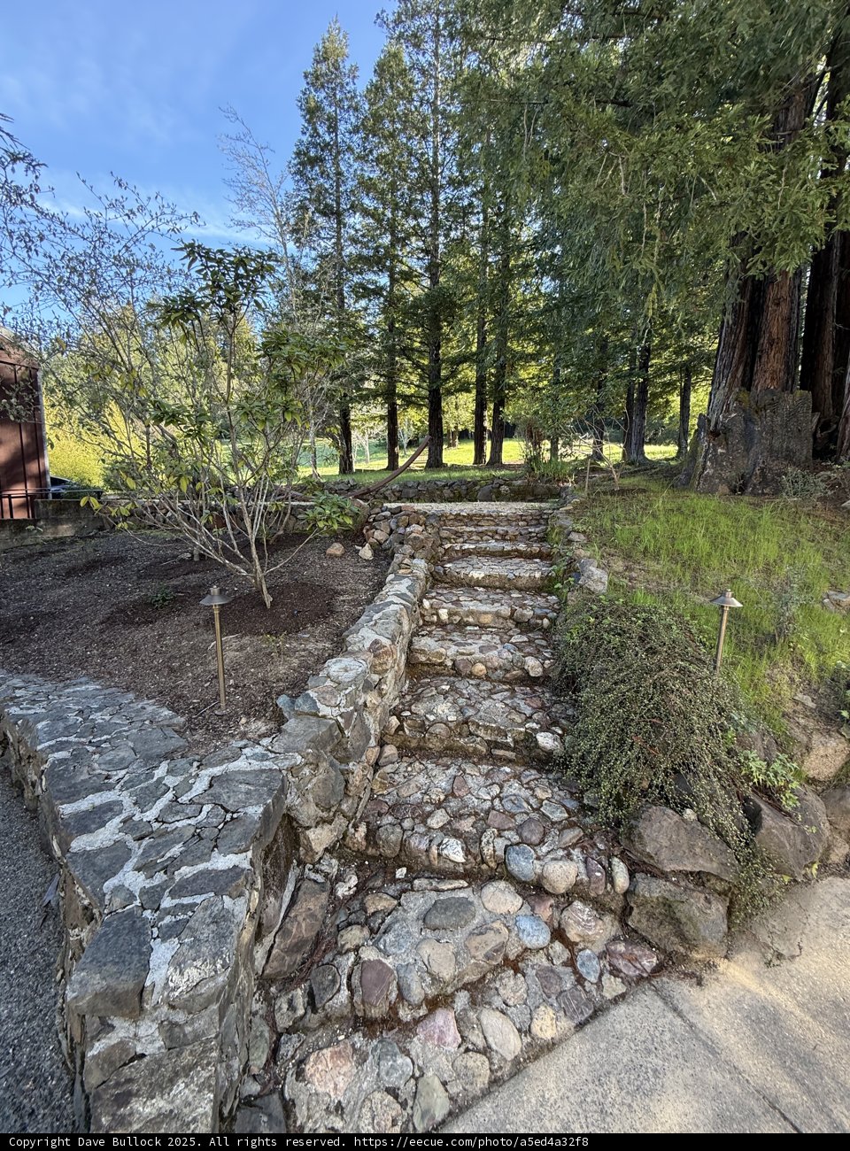 Pathway Through Nature