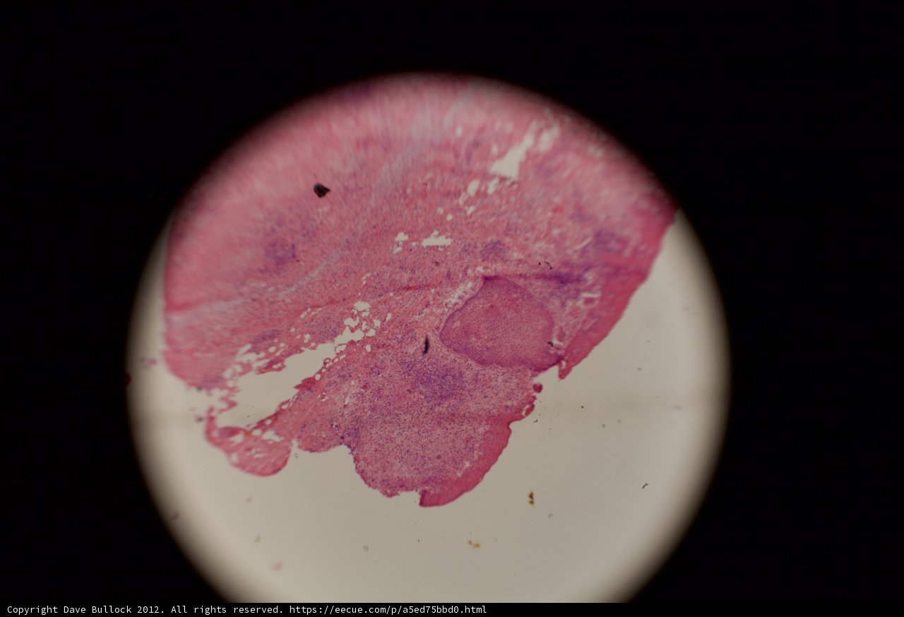 Pink Stain on Black Surface