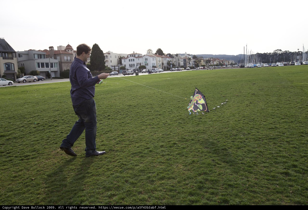 Kite Flying Fun on a Sunny Day