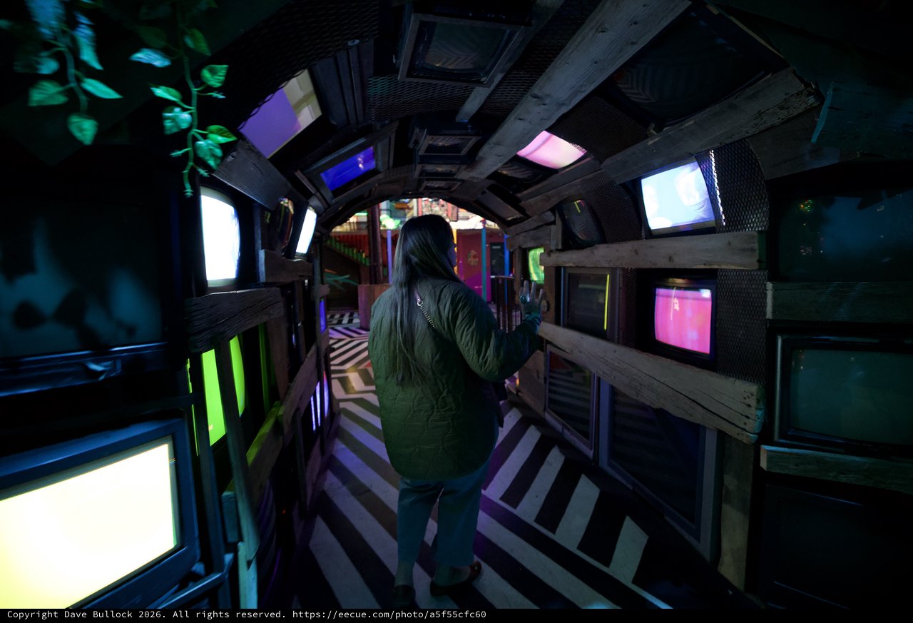 Immersive Multi-Screen Art Installation Experience