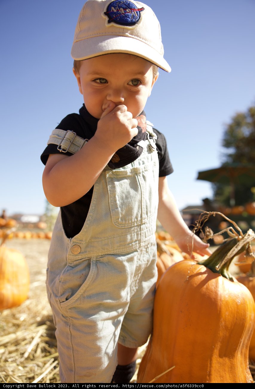 Little Pumpkin Picker, Wesley