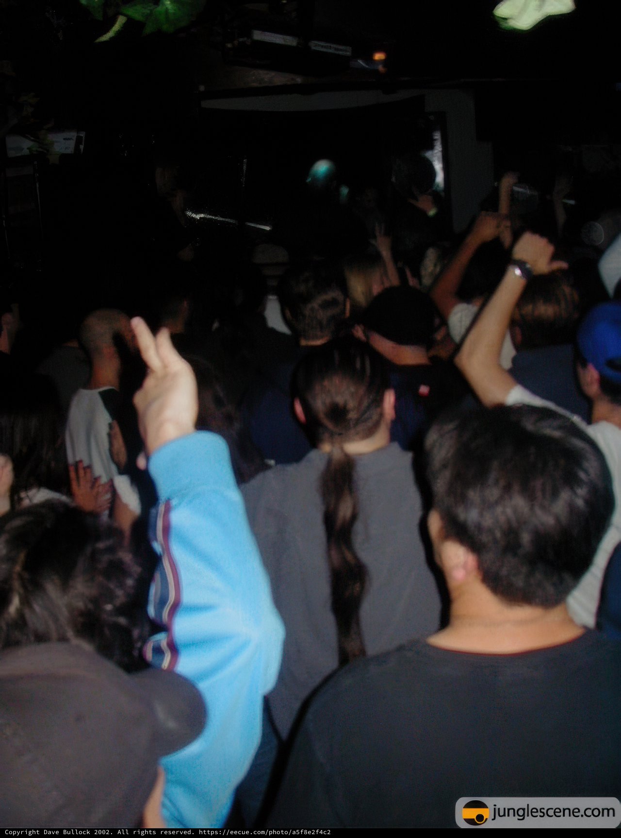 Nightclub Fun