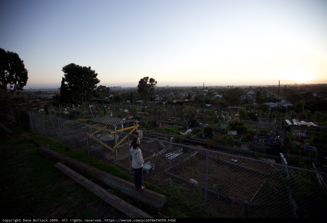 Overlooking the Community Garden at Sunset