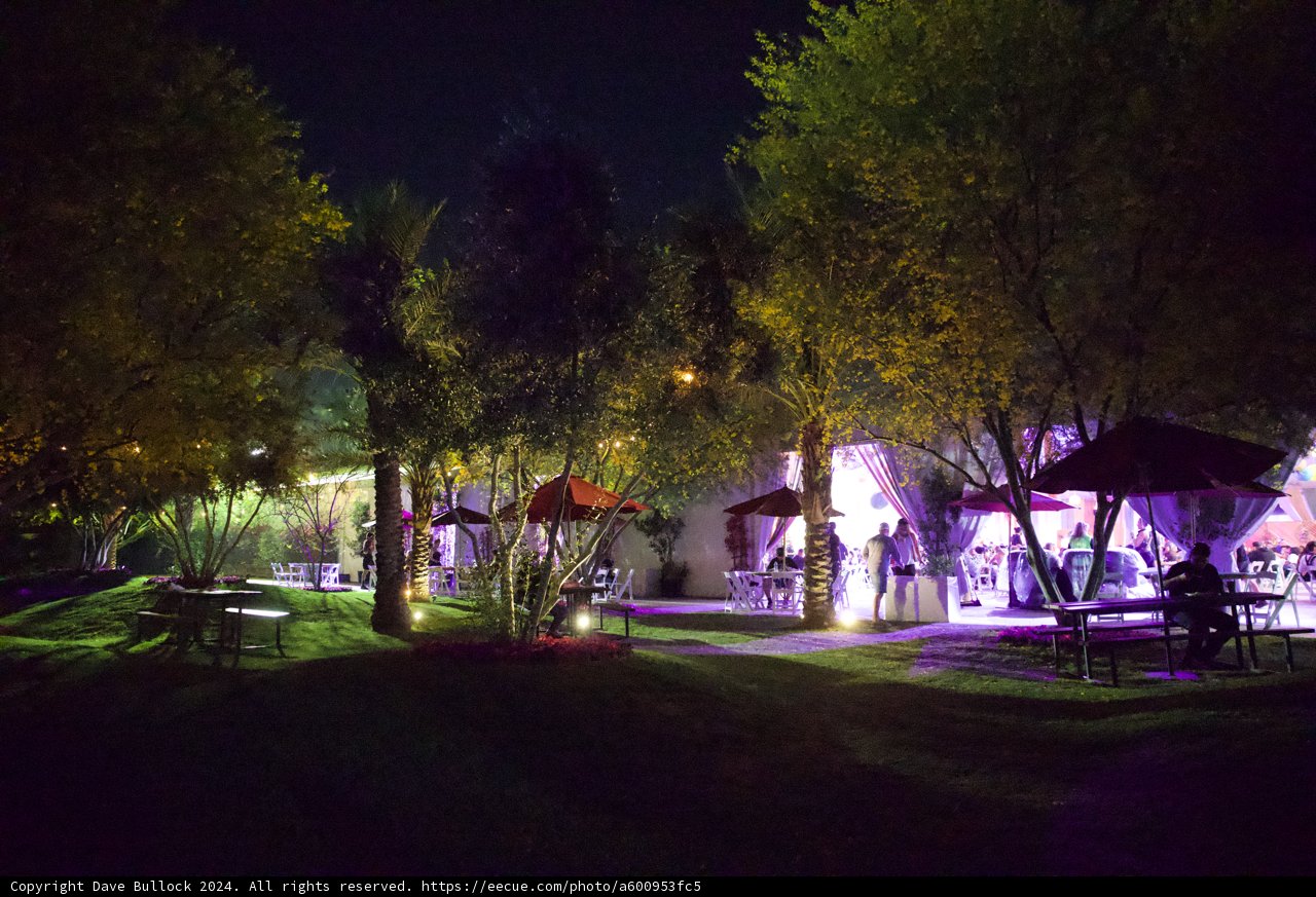 Enchanted Evening at Coachella 2024
