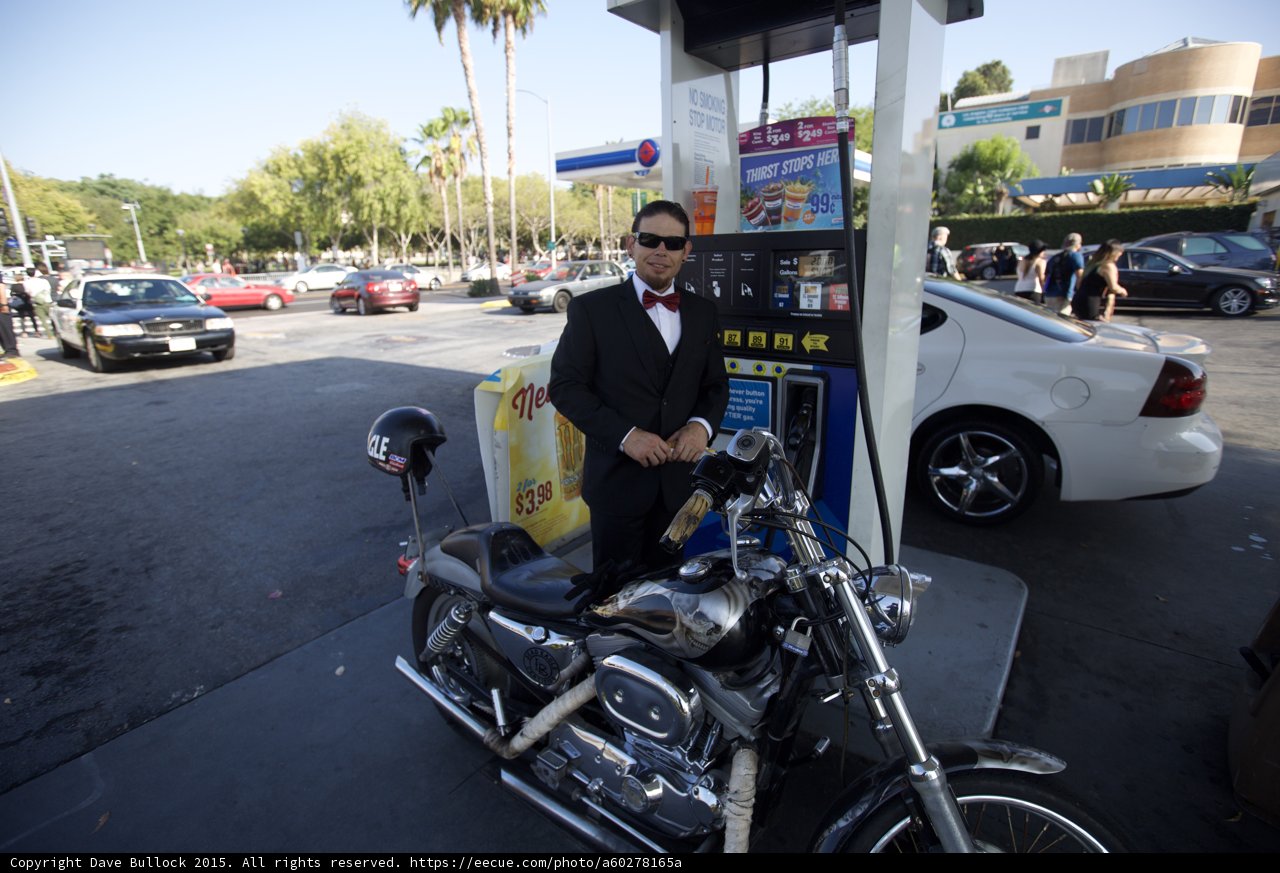 Tuxedo and Harley