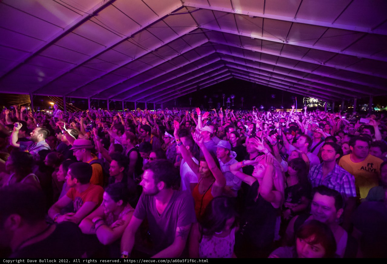 Party in the Tent