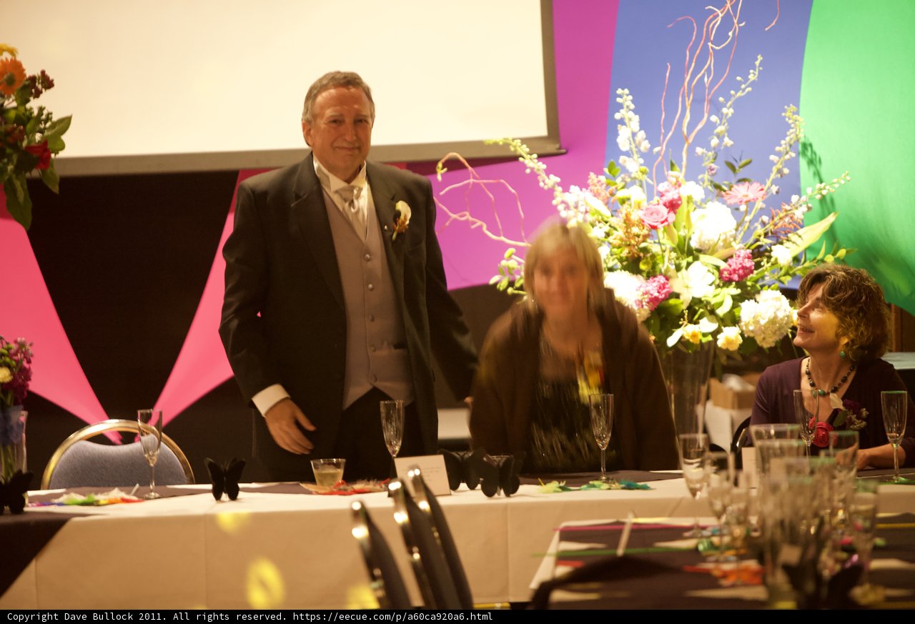 Three Elegant Guests at a Wedding Reception