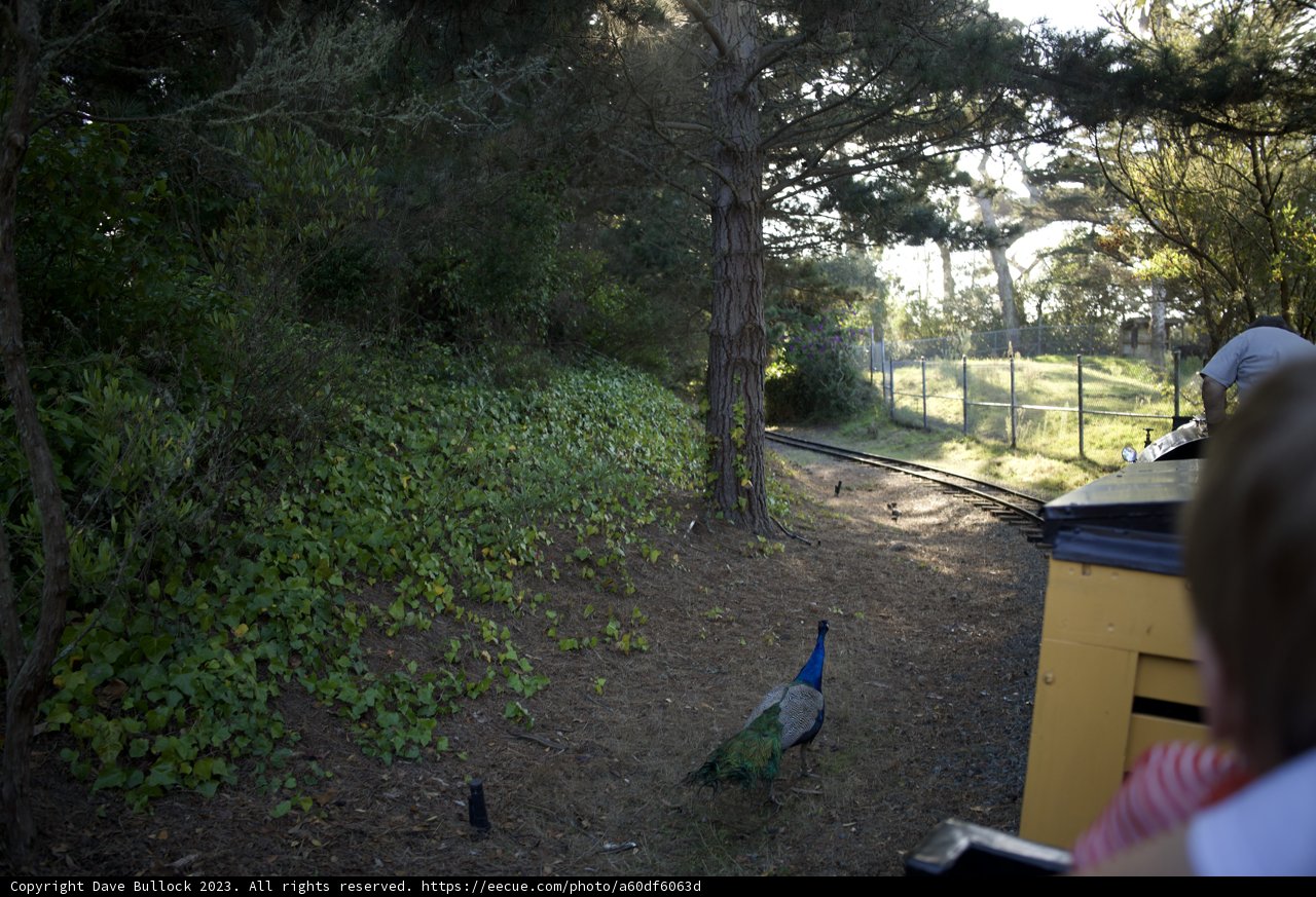 Nature's Spectacle at SF Zoo