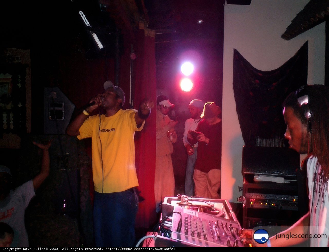 DJ's Groovy Beats at the Night Club