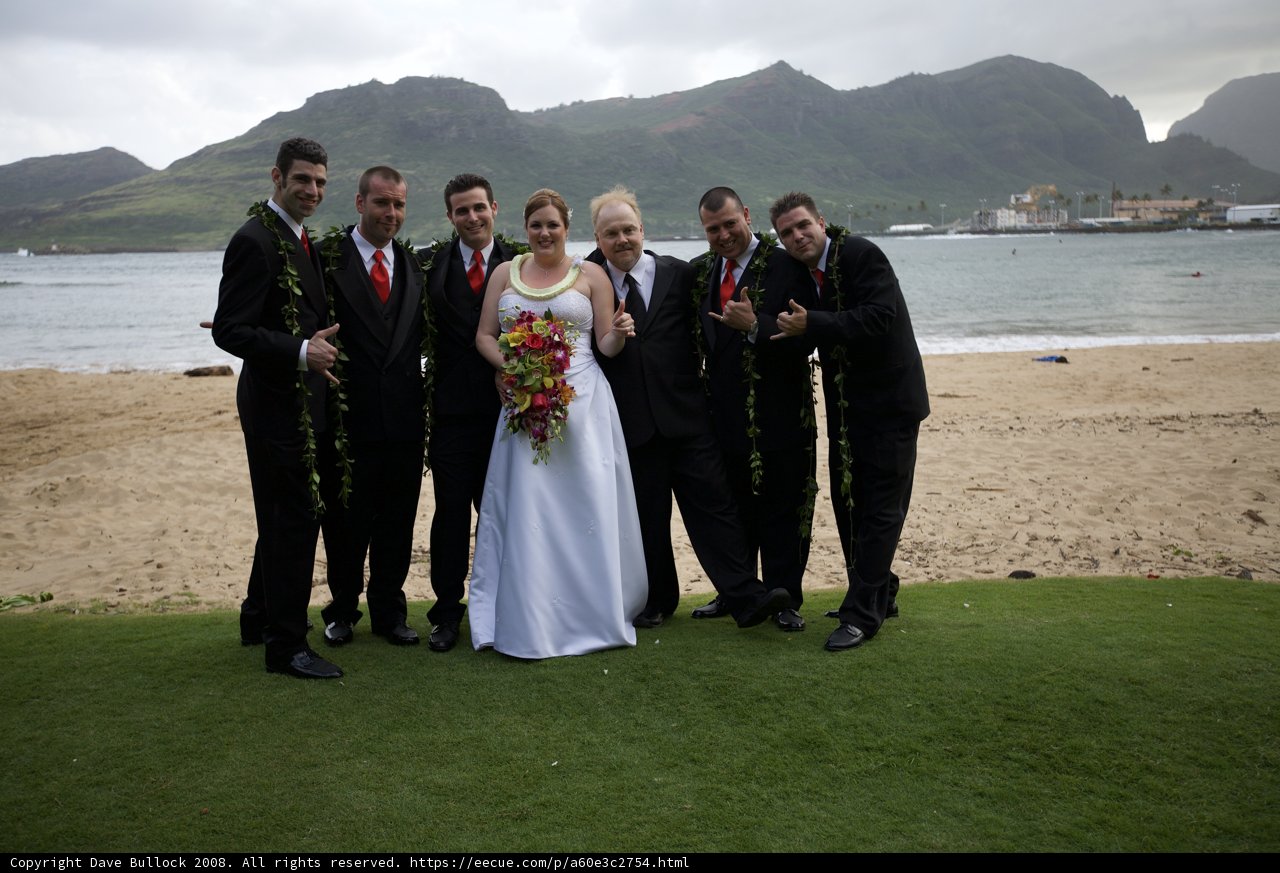 Wedding Party on the Beach
