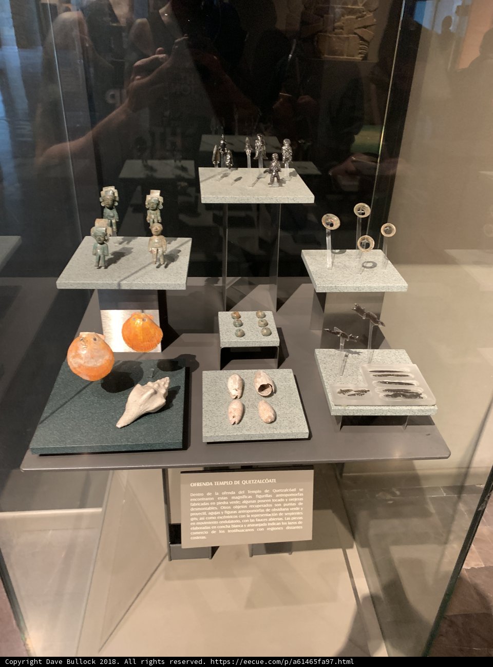 Museum Display Case