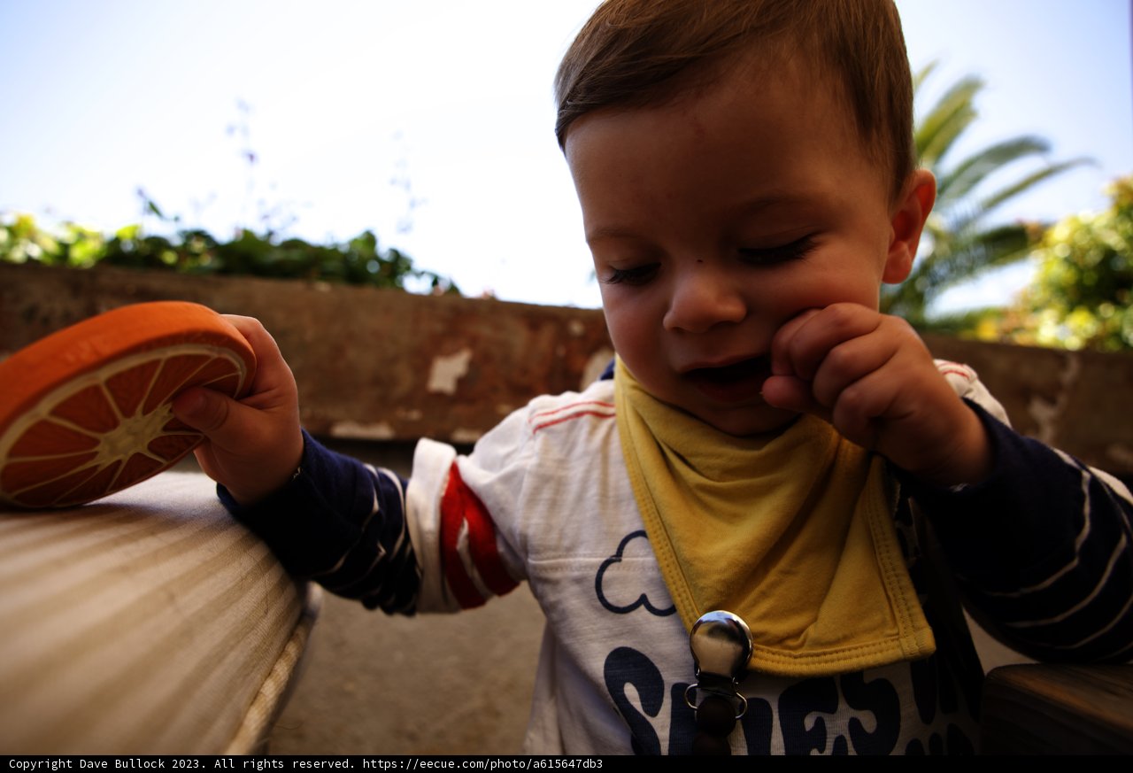 A Young Boy's Citrus Delight