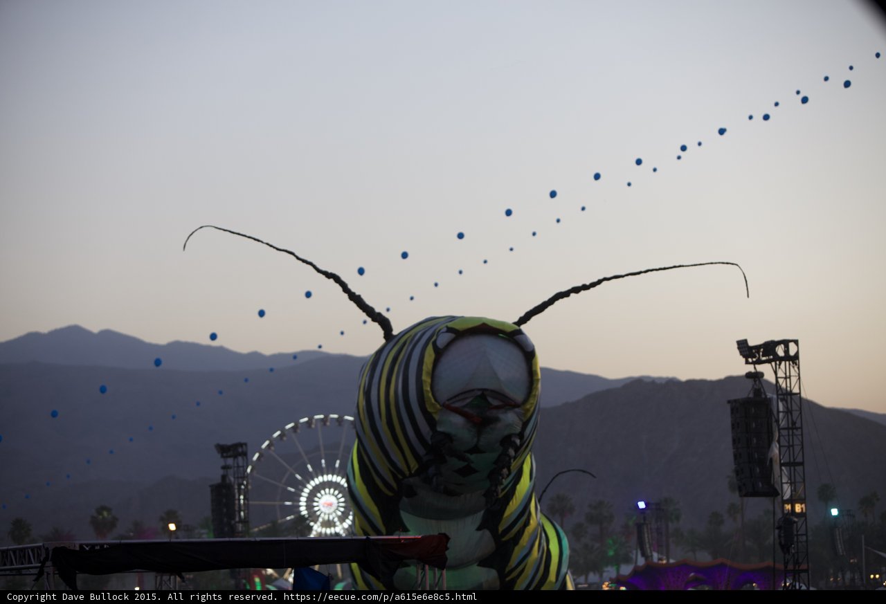 The Giant Insect