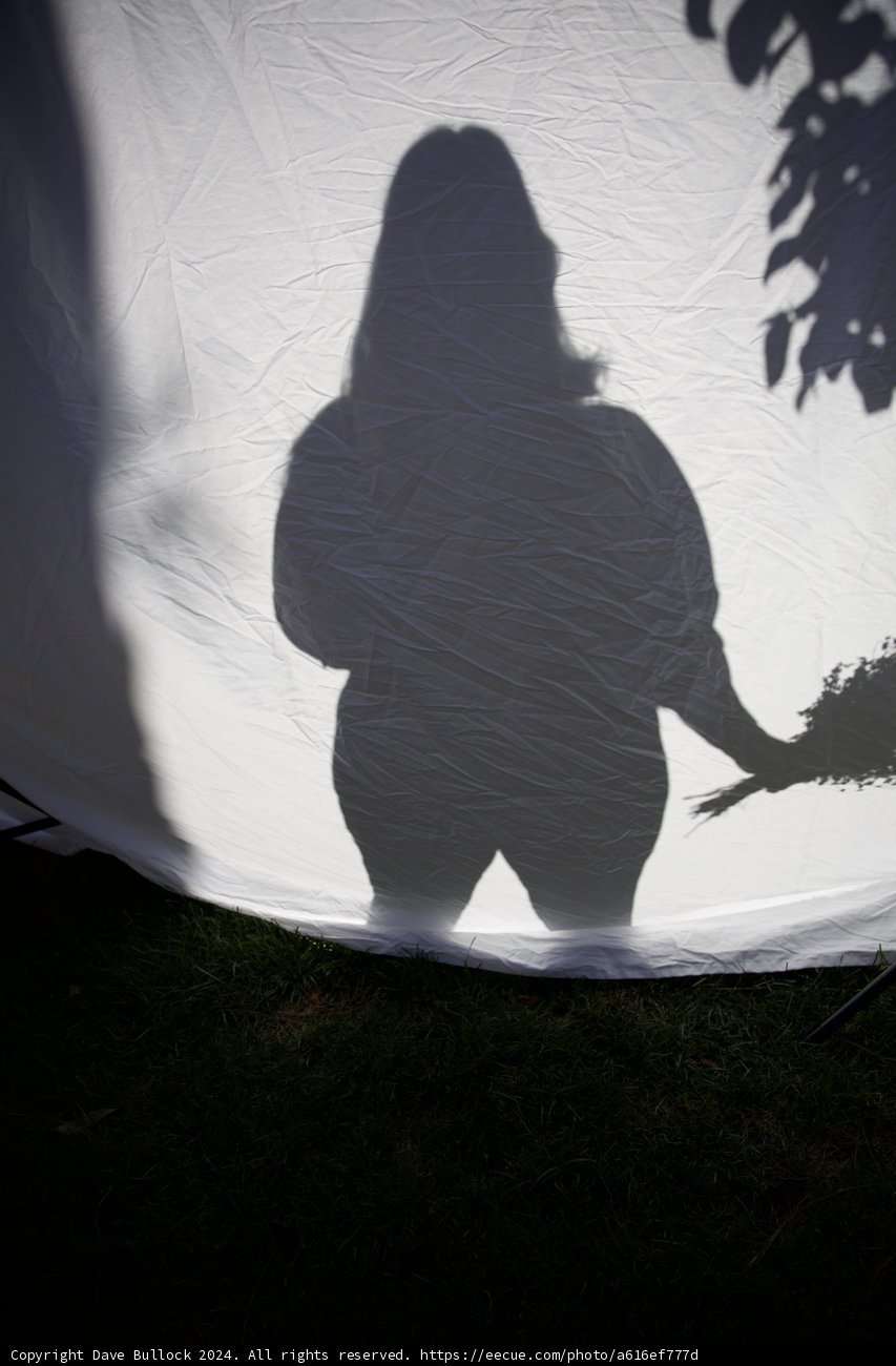 Awaiting in Silhouette