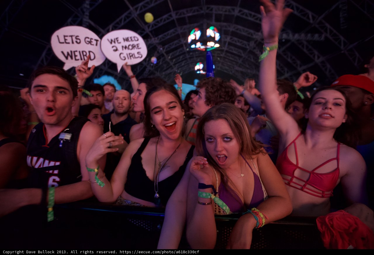 Sign-holding Crowd at Coachella Music Festival