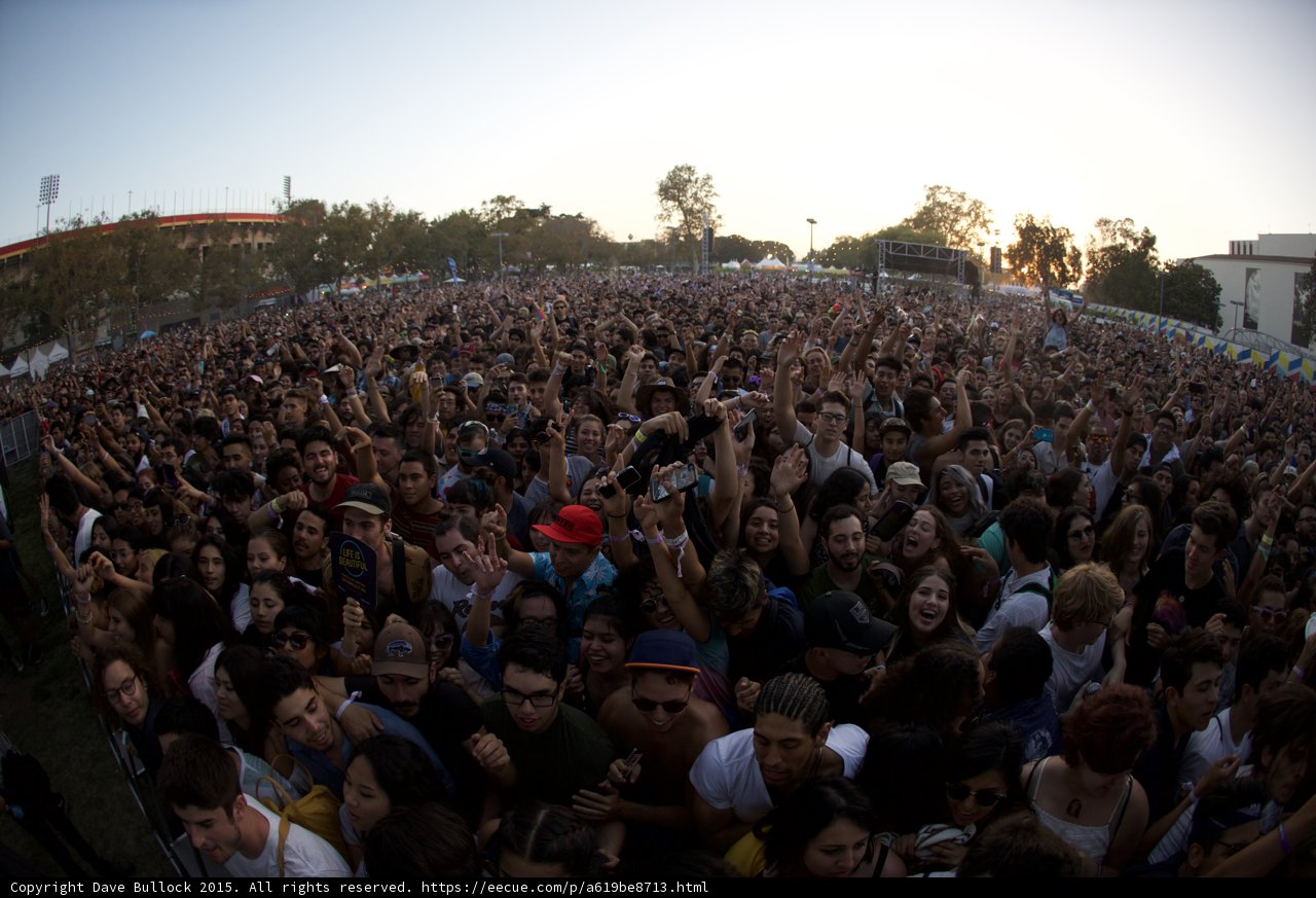 Dense Festival Crowd
