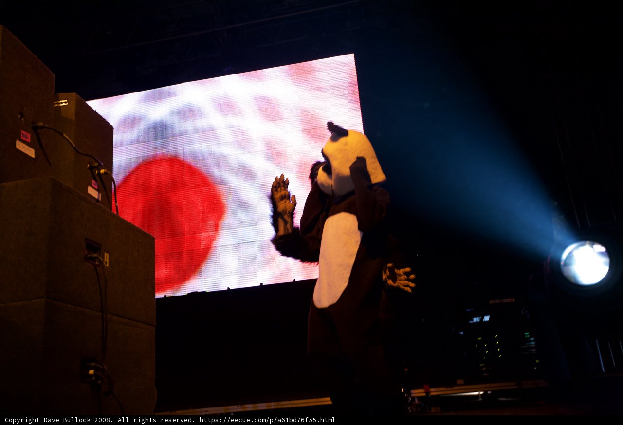 The Spotlight Shines on the Mascot