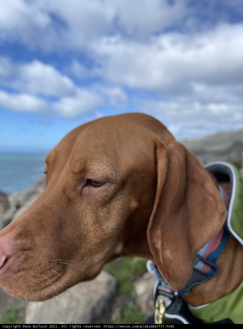 Beach Day with My Best Friend