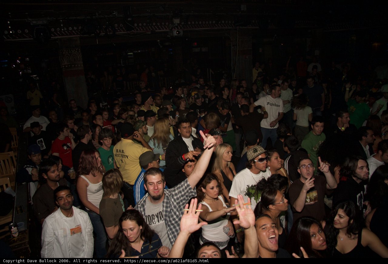 Nightclub Partygoers Raise the Roof