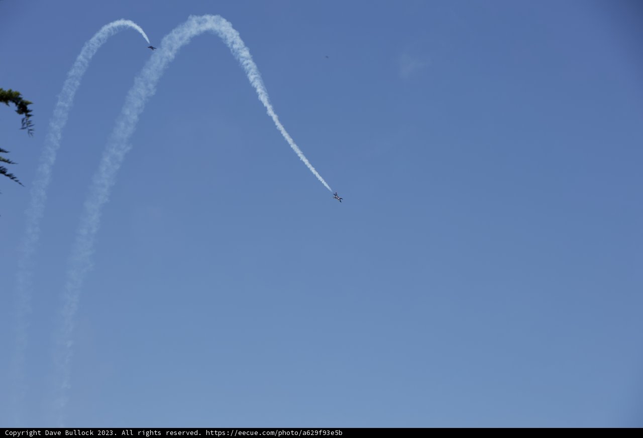 Wings Over San Francisco