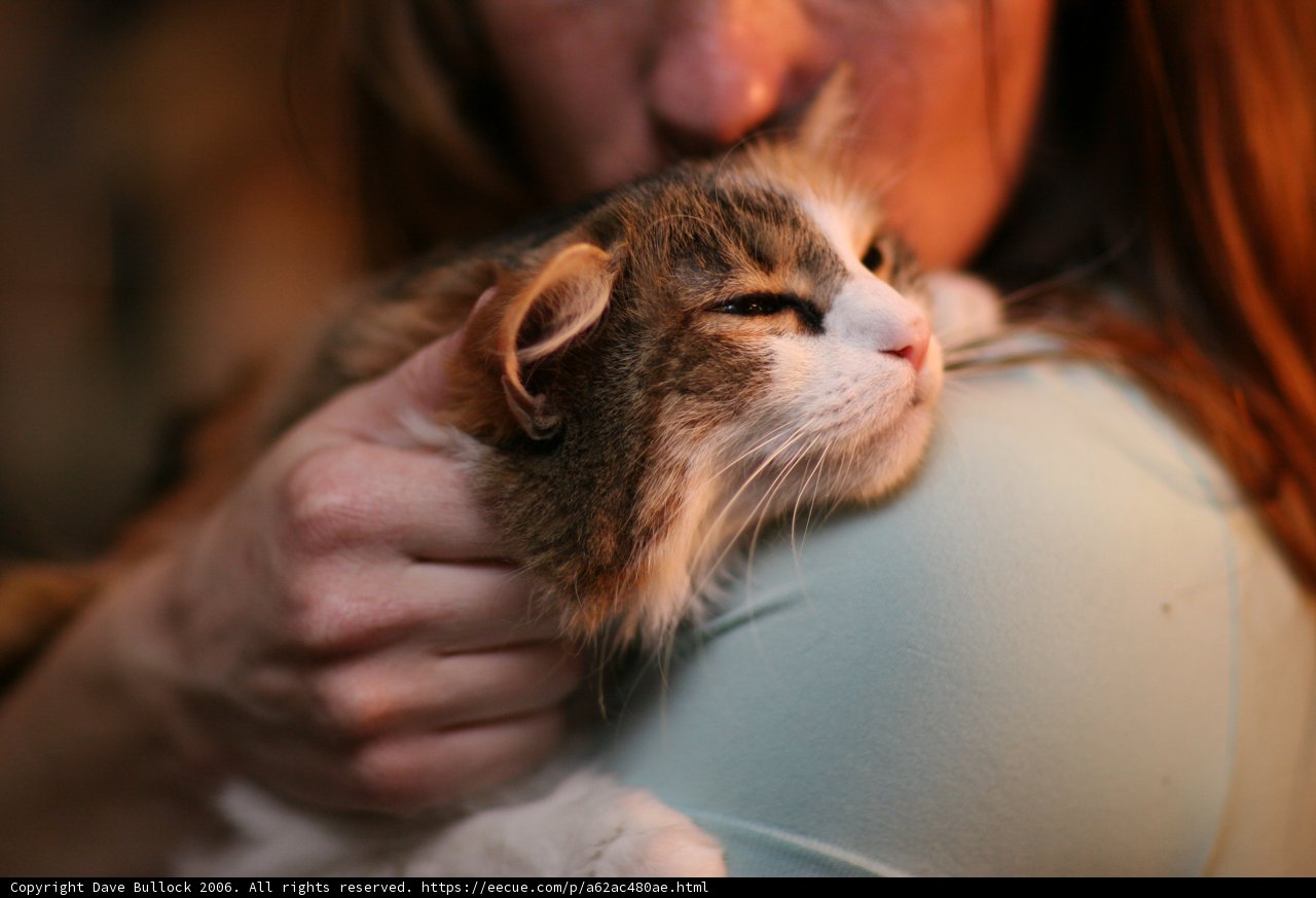 Woman and her Feline Friend