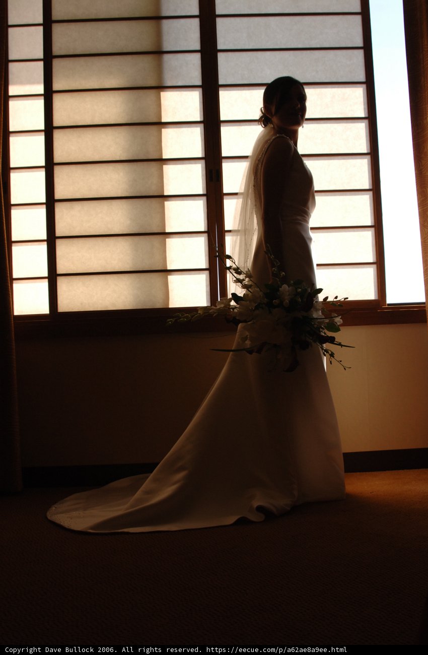Bride's Beautiful Blooms