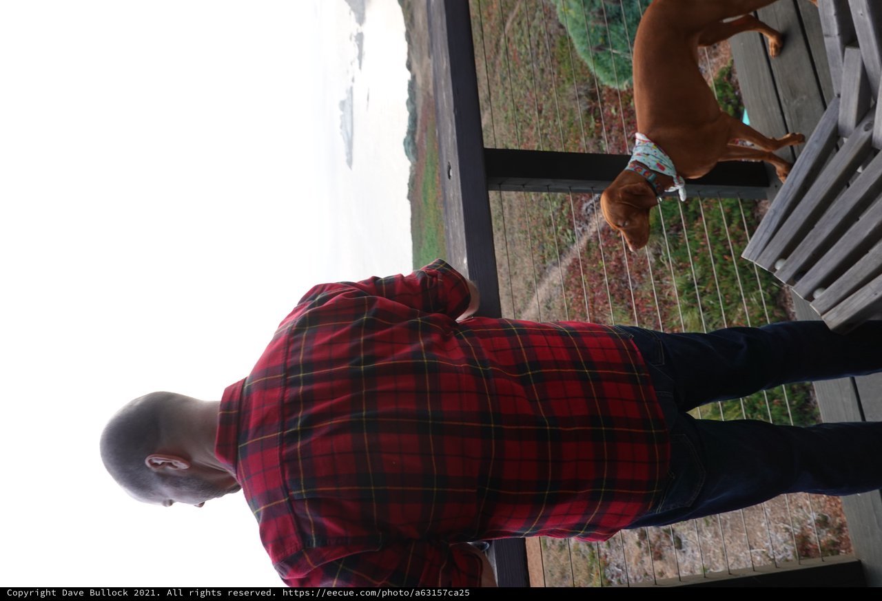 Man and Dog Overlooking Coastal Landscape