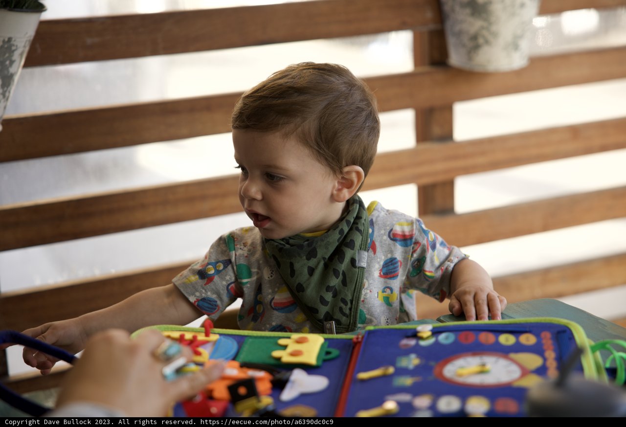 Celebrating Life Through Play