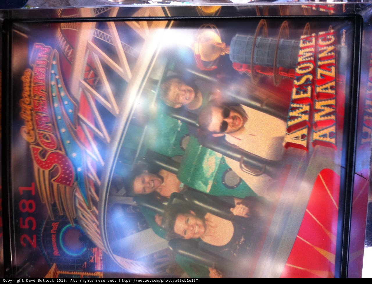 California Screamin' Roller Coaster Thrill Ride Photo