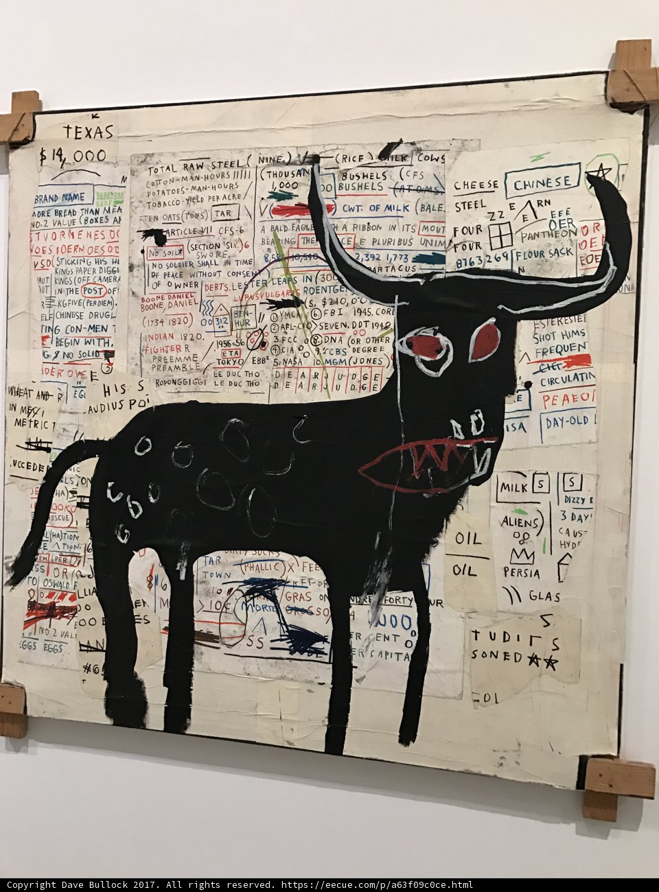 Red-Eyed Bull