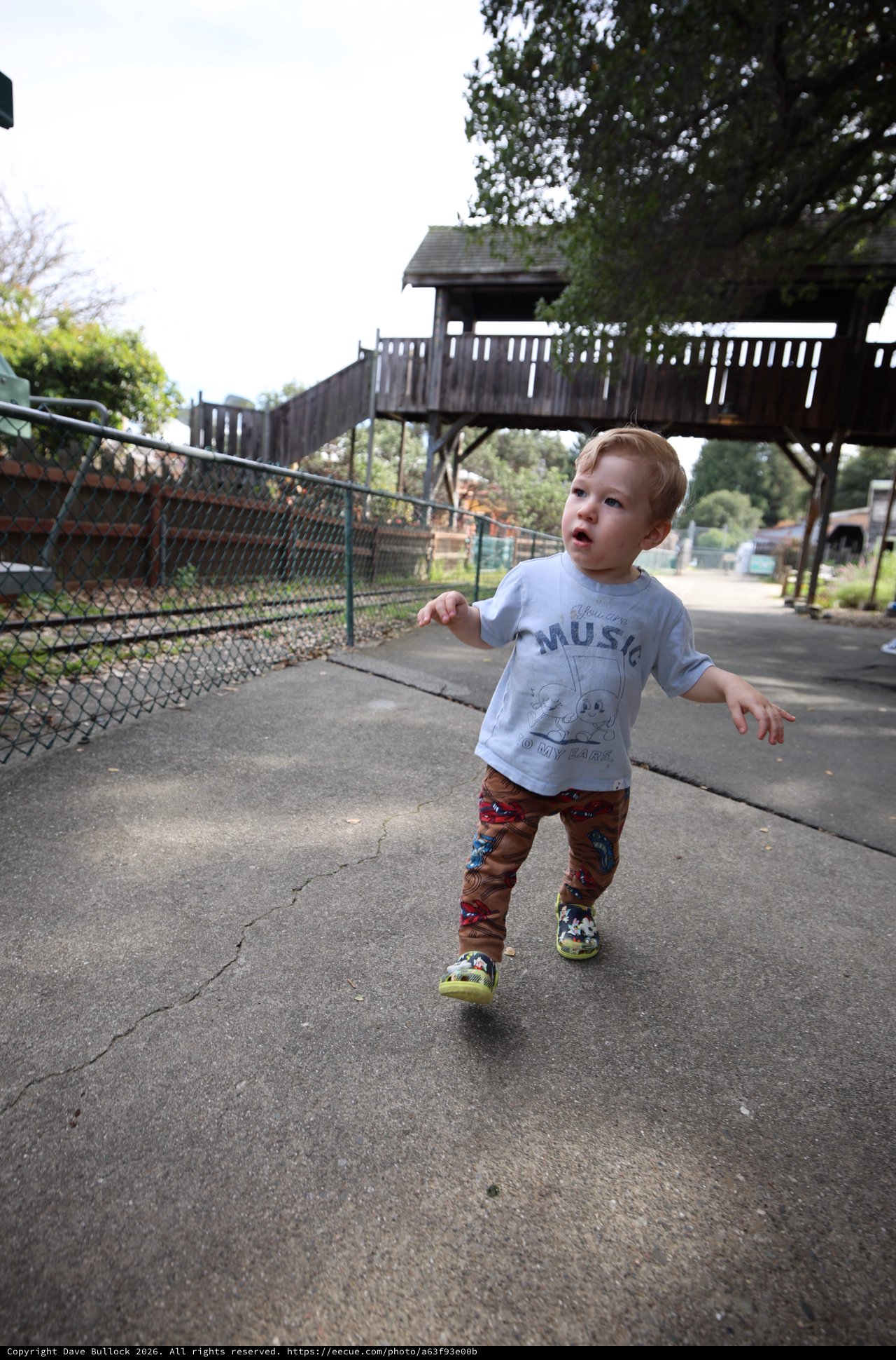 Toddler Exploring Zoo Pathway with Wooden Observation Tower