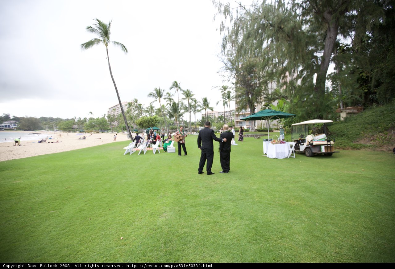 Picture-perfect Wedding Golf Party