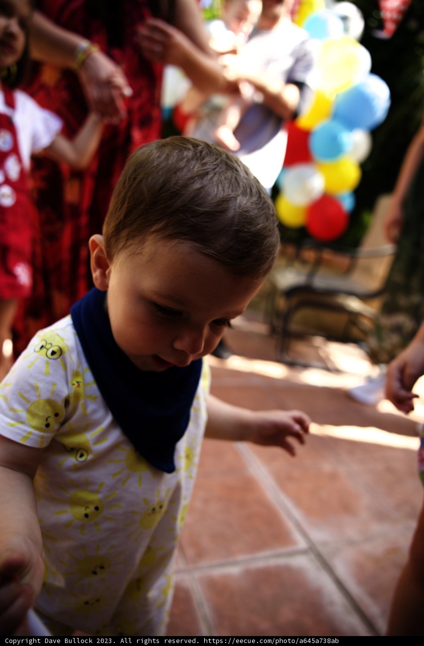 Wesley's First Steps on His Birthday Bash