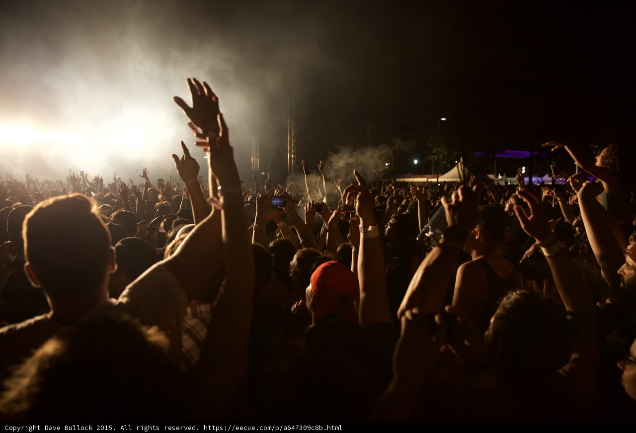 Crowd Arms Raised Silhouette