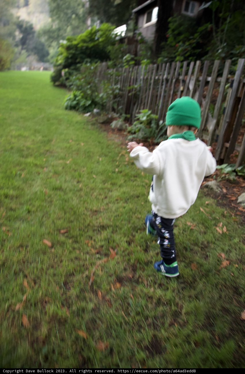 On the Move in Green: Wesley's Big Sur Adventure