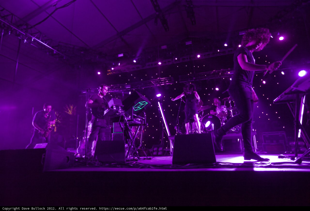 Purple Haze Concert
