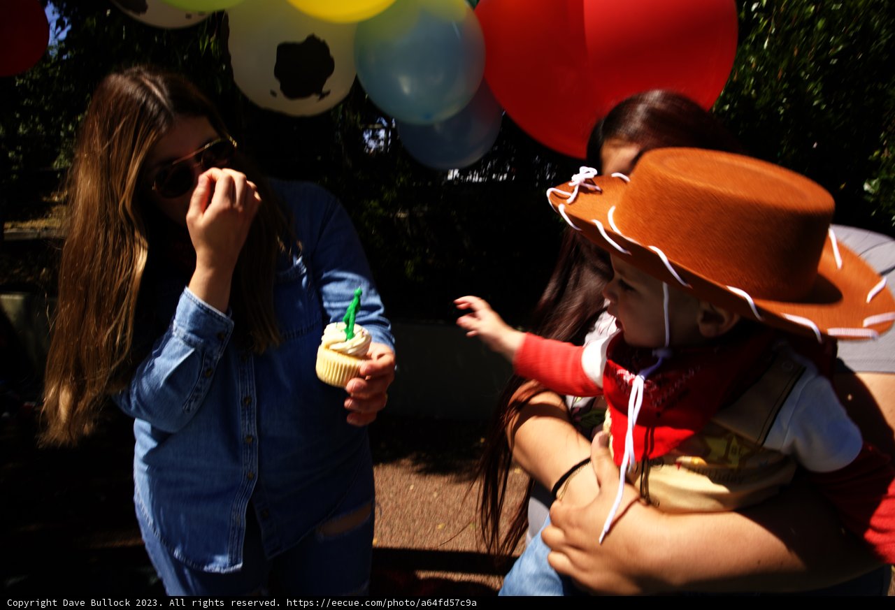 A Memorable Milestone: Wesley's Western First Birthday Celebration