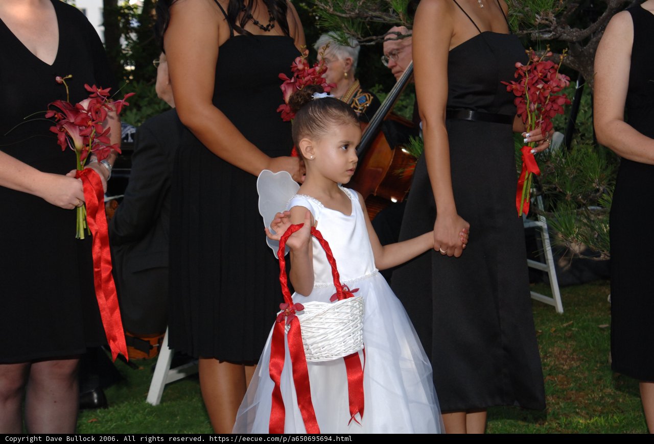 The Little Flower Girl
