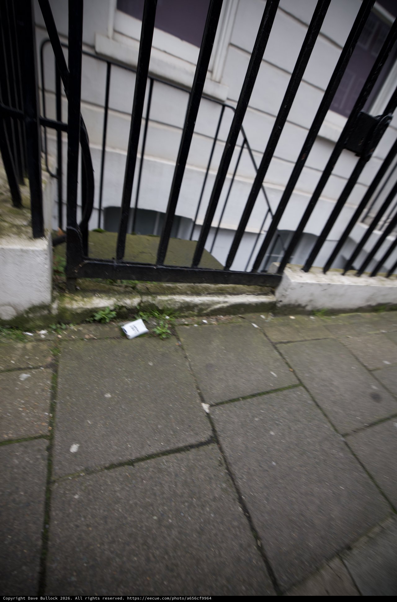 Urban Gateway: Black Railings on Stone Pavement