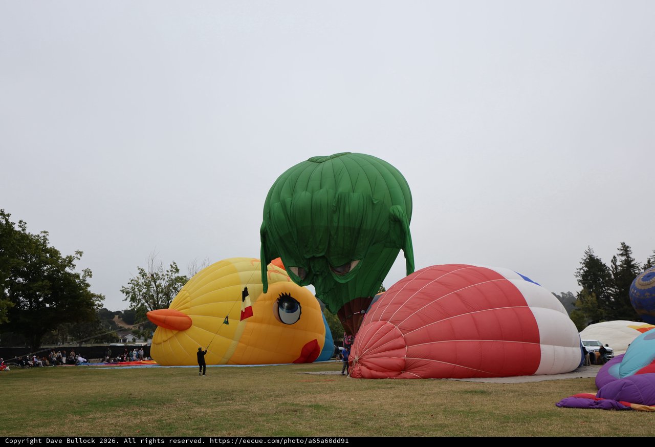 Giant Novelty Balloons Inflate at Sonoma County Classic