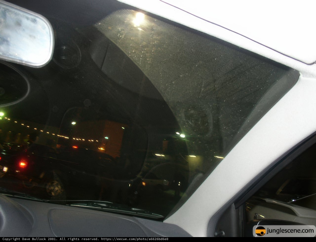 Reflections of the Night